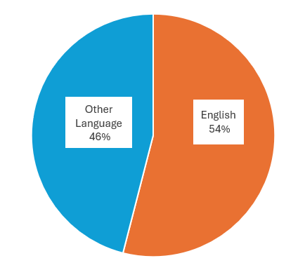 Languages-spoken-2021